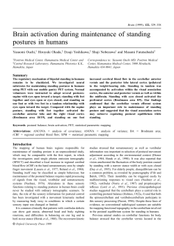 Brain activation during maintenance of standing postures in humans