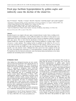 Feral pigs facilitate hyperpredation by golden eagles and indirectly