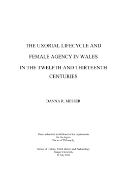 Rightly, the political histories of medieval Wales devote much time to