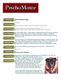 The Phobia Page - The Brain from Top to Bottom