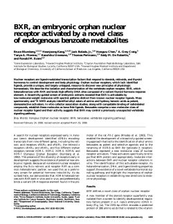 BXR, an embryonic orphan nuclear receptor activated by a novel