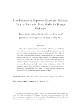 Evidence from the Belarusian Black Market for Foreign Exchange
