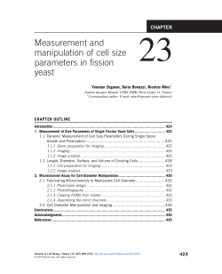 Measurement and manipulation of cell size parameters in fission yeast
