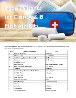 Item Minimum Required Size 16 Adhesive Bandages 1x3 inches 1