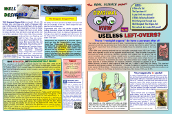 useless left-overs? - Creation Resources Trust