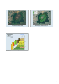 Altitudinal zonation of vegetation