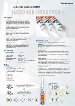 inca catalog p2 - Paint To Protect