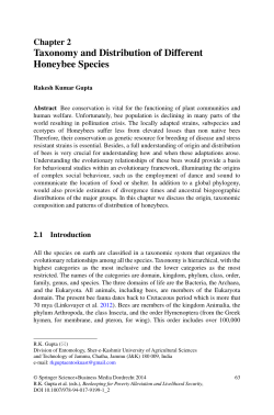 Sample pages 2 PDF