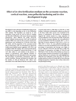 279-288. 2002. - Universidad de Murcia