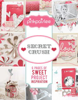 secret crush - Pink Paislee