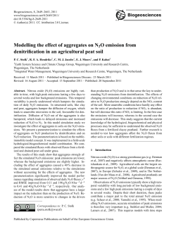 Modelling the effect of aggregates on N2O
