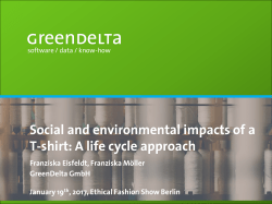 Social and environmental impacts of a T