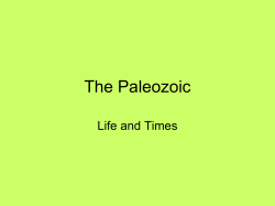 The Paleozoic - Gondwana Research