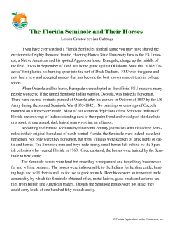 The Florida Seminole and Their Horses