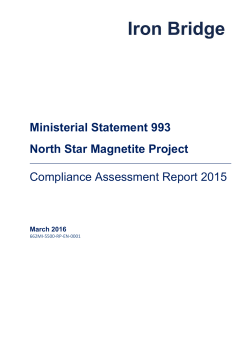 Ministerial Statement 993 North Star Magnetite Project Compliance