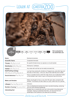 this Animal Fact File