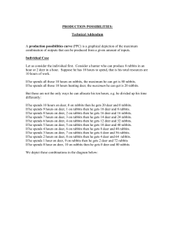 PRODUCTION POSSIBILITIES: Technical Addendum A production