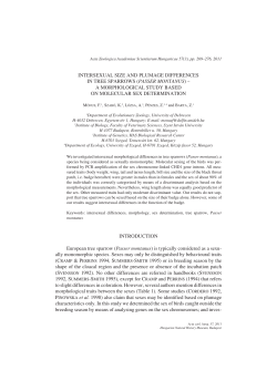 intersexual size and plumage differences in tree sparrows (passer