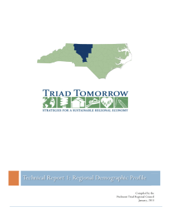 Technical Report 1: Regional Demographic Profile