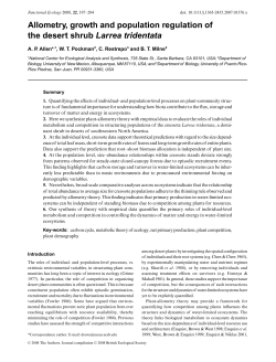 Allometry, growth and population regulation of the desert shrub