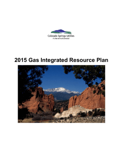 Natural Gas Integrated Resource Plan