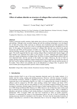 Effect of sodium chloride on structure of collagen fiber