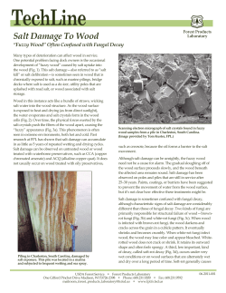 Salt Damage To Wood, "Fuzzy Wood" Often Confused with Fungal