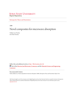 Novel composites for microwave absorption