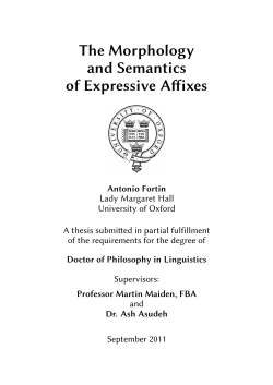 The Morphology and Semantics of Expressive Affixes
