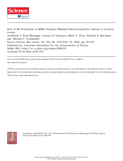 Role of NO Production in NMDA Receptor