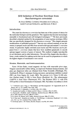 Isolation of nuclear envelope from Saccharomyces cerevisiae.