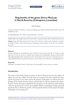 Stag beetles of the genus Dorcus MacLeay in North