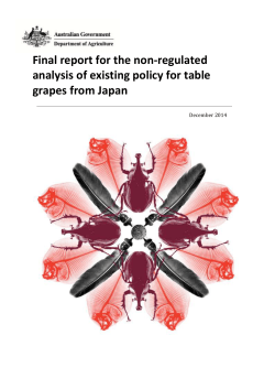 Final report for the non‑regulated analysis of existing policy for table