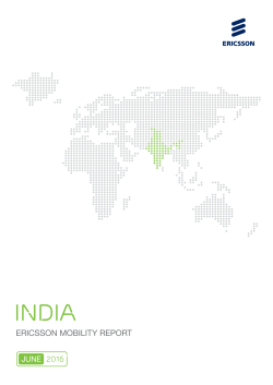 Europe Mobility Report Appendix India