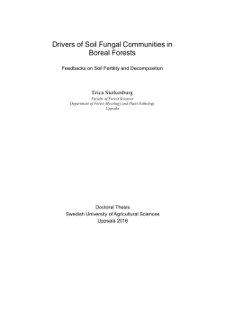 Drivers of Soil Fungal Communities in Boreal Forests
