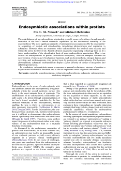 Endosymbiotic associations within protists