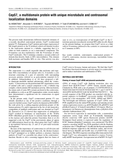 Cep57, a multidomain protein with unique microtubule and