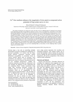 Ca +-free medium enhances the magnitude of slow peak in