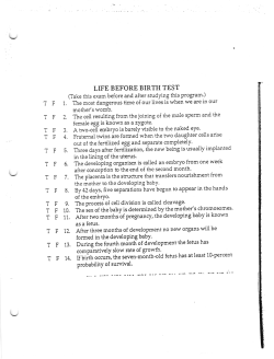 Pre-Natal and Child Development