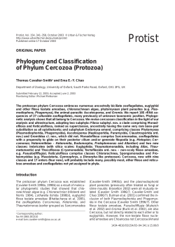 Phylogeny and classification of phylum Cercozoa