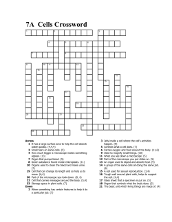 7A Cells Crossword