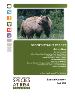 Status Report and Assessment of Grizzly Bear in the NWT (2017)