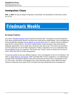 Immigration Chaos - Geopolitical Futures