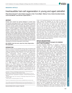 Inexhaustible hair-cell regeneration in young and aged zebrafish