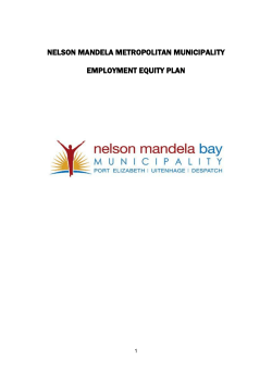 Kfuid-NMBM Equity plan - Nelson Mandela Bay Municipality