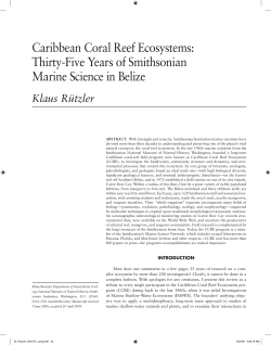 Ruetzler, K. 2008. Caribbean Coral Reef Ecosystems