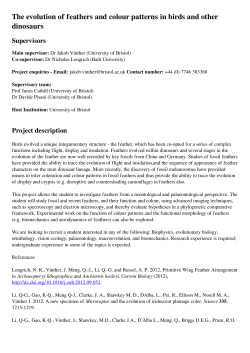 The evolution of feathers and colour patterns in birds and other