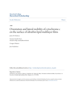 Orientation and lateral mobility of cytochrome c on the surface of