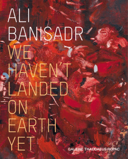 PDF - Ali Banisadr