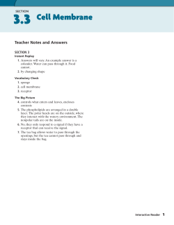 Cell Membrane - WordPress.com